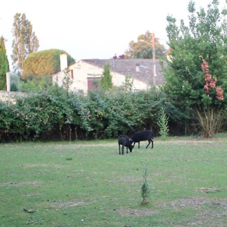 Hotel Le Clos Du Gorion Saint-Sulpice-et-Cameyrac Exterior foto