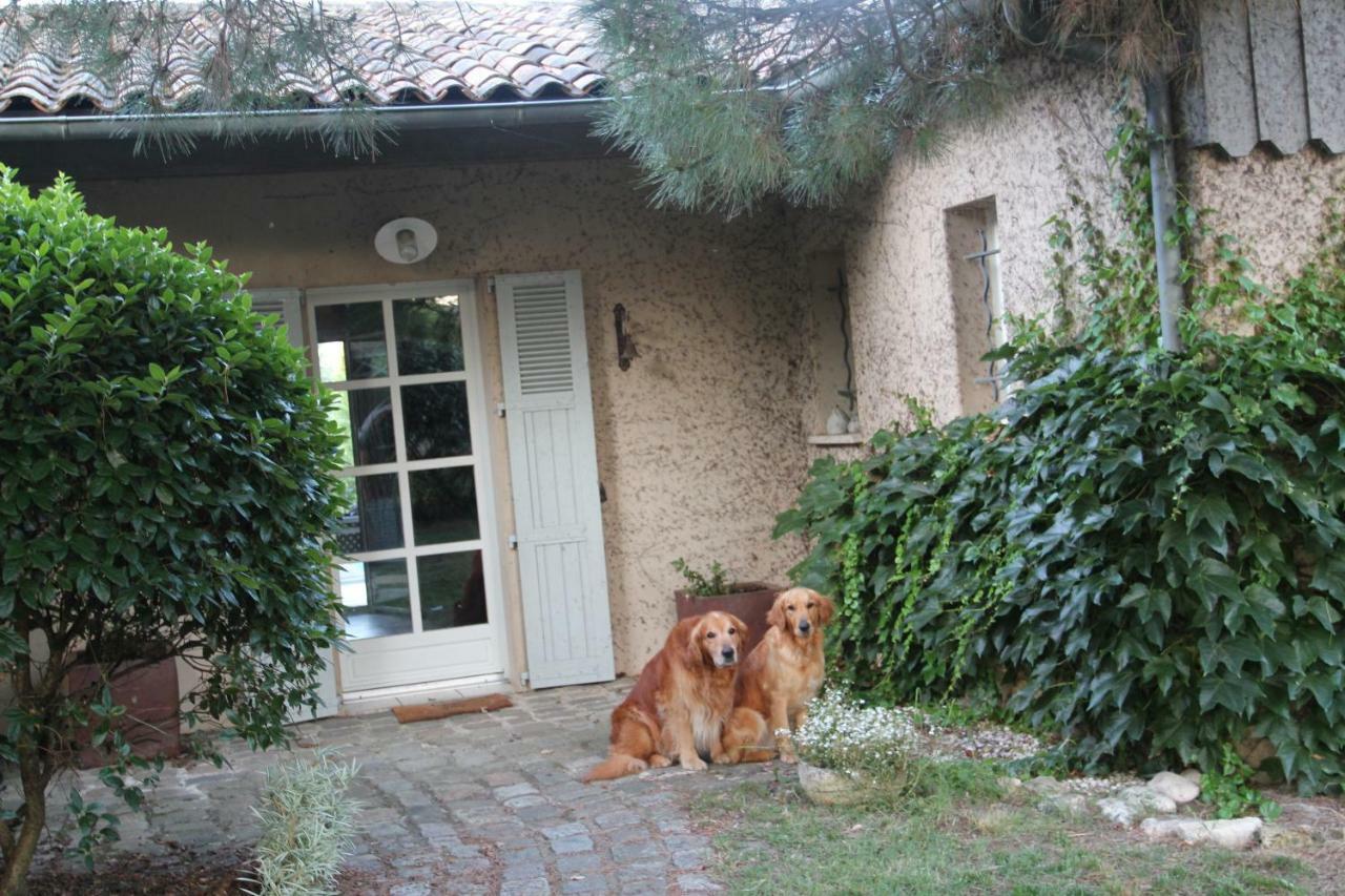 Hotel Le Clos Du Gorion Saint-Sulpice-et-Cameyrac Exterior foto